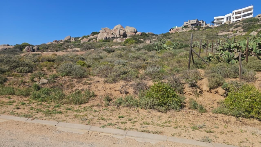0 Bedroom Property for Sale in Blueberry Hill Western Cape